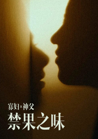 贵妃型沙发巾